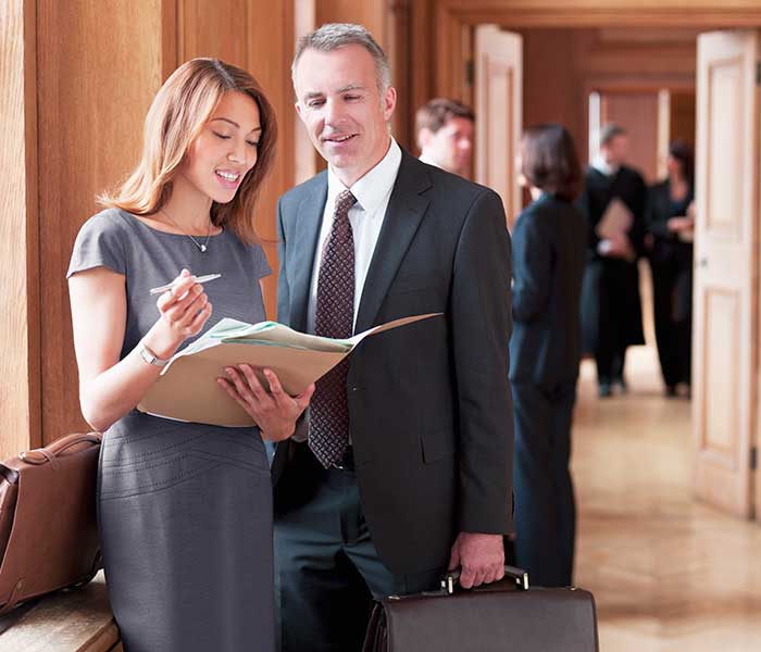 Two Lawyers discussing a case